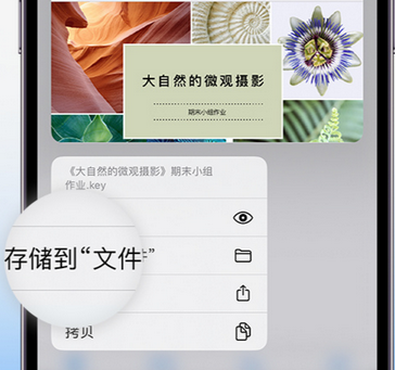 海勃湾apple维修中心分享iPhone文件应用中存储和找到下载文件