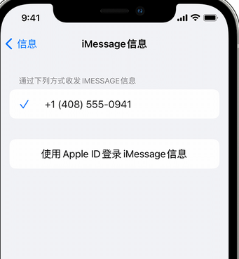 海勃湾apple维修iPhone上无法正常发送iMessage信息 