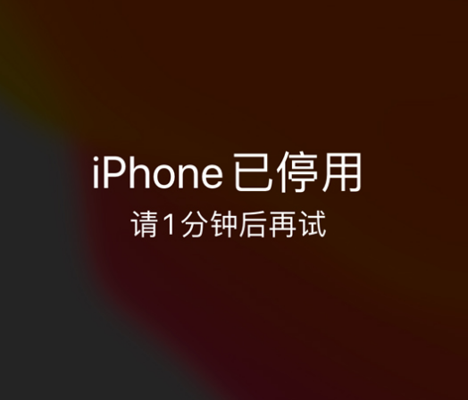 海勃湾苹果手机维修分享:iPhone 显示“不可用”或“已停用”怎么办？还能保留数据吗？ 