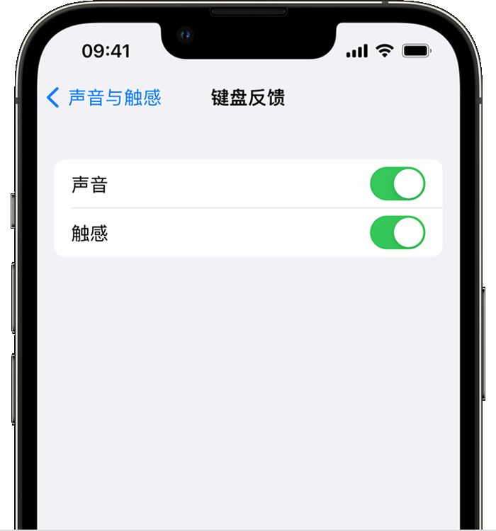 海勃湾苹果14维修店分享如何在 iPhone 14 机型中使用触感键盘 