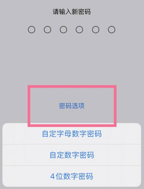 海勃湾苹果14维修分享iPhone 14plus设置密码的方法 