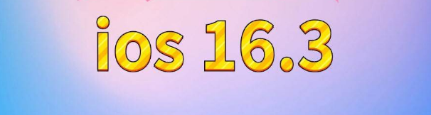 海勃湾苹果服务网点分享苹果iOS16.3升级反馈汇总 