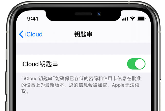 海勃湾苹果手机维修分享在 iPhone 上开启 iCloud 钥匙串之后会储存哪些信息 